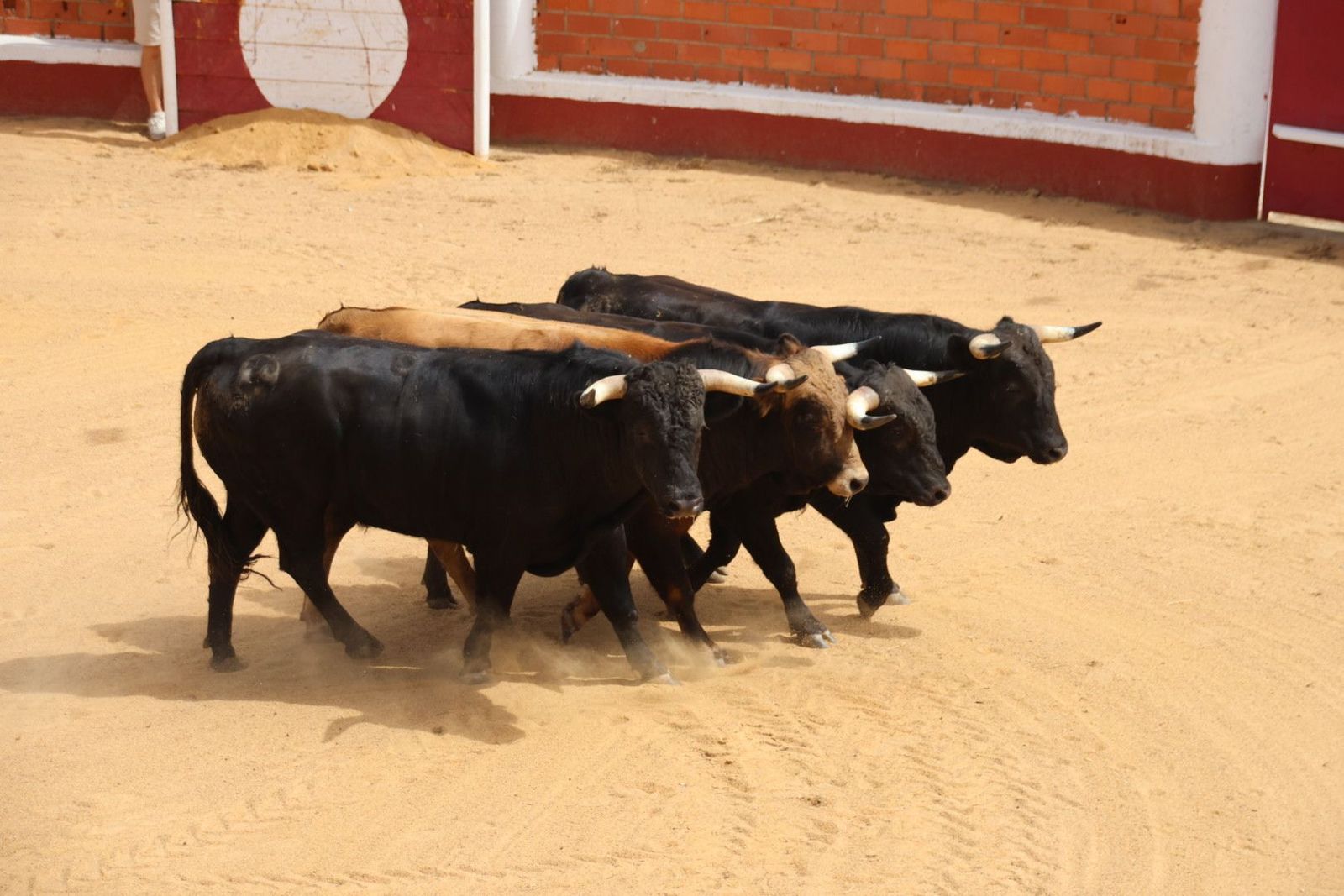 20230809113506-img-9543