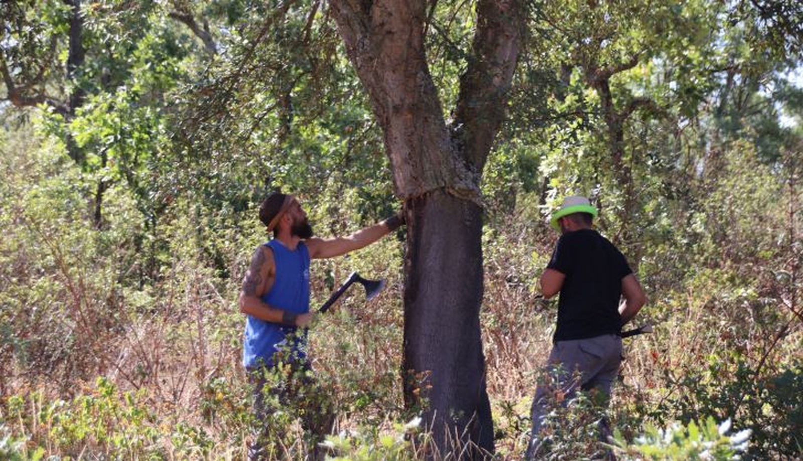 Saca de corcho Foto S24H (35)