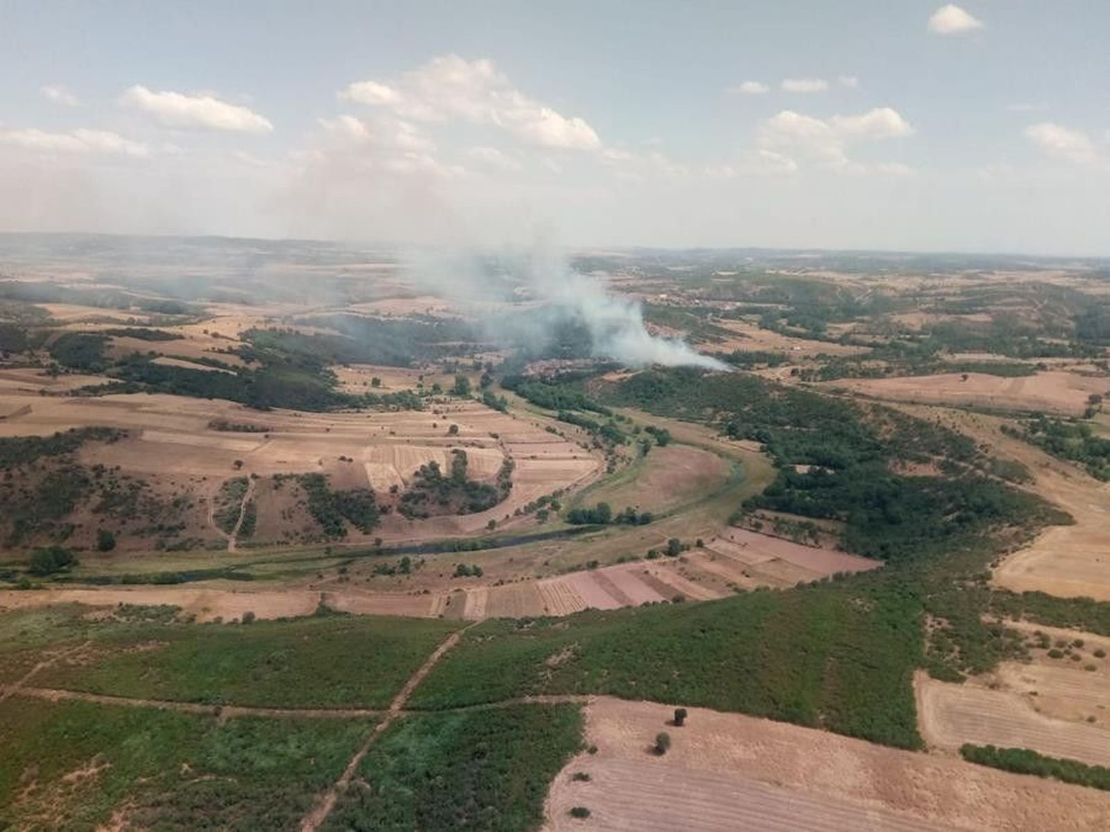 Incendio flores aliste (1)