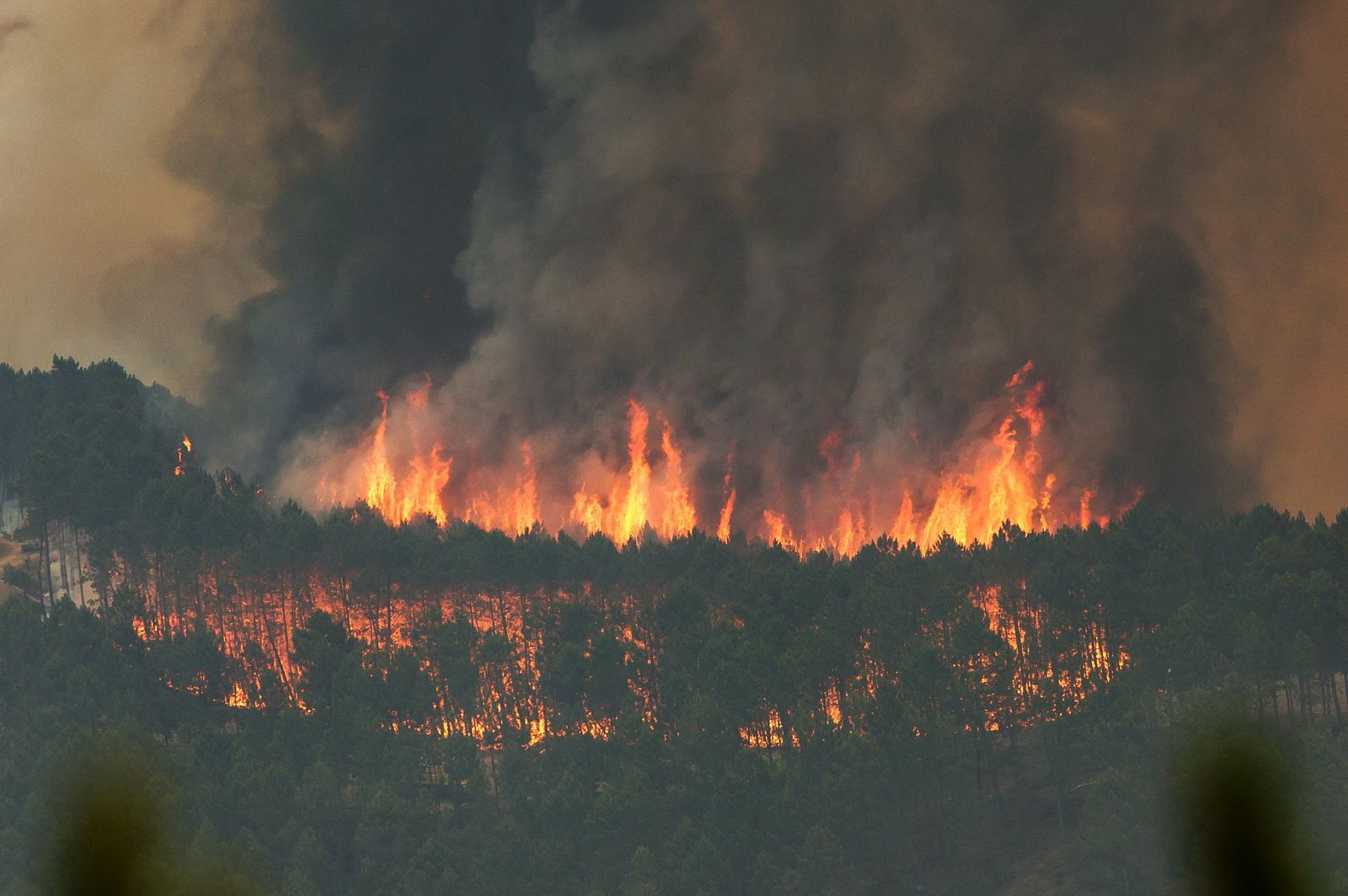 El incendio de Cáceres se acerca peligrosamente a la provincia de Salamanca