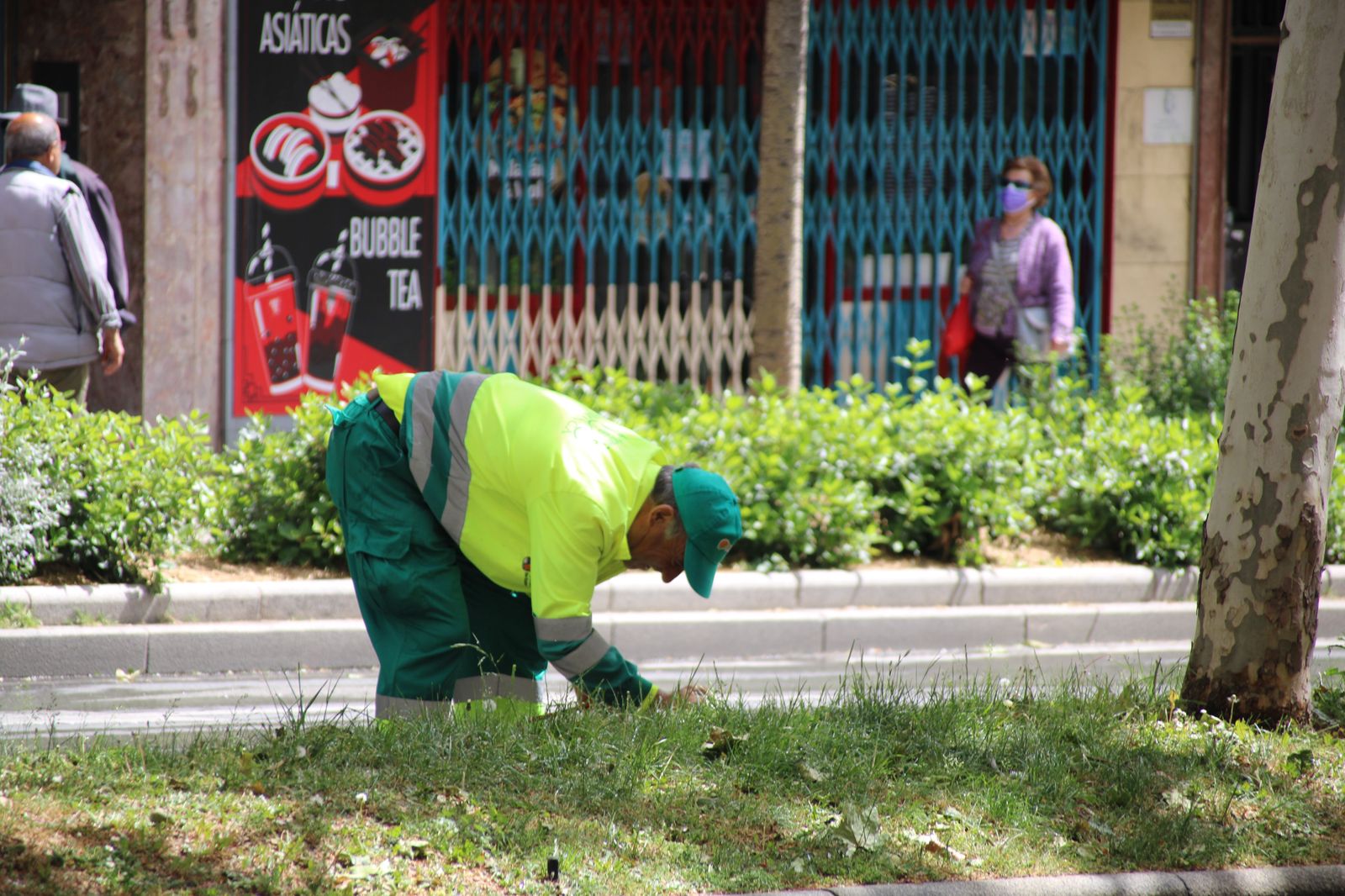 Trabajador del servicio de jardines, foto archivo.