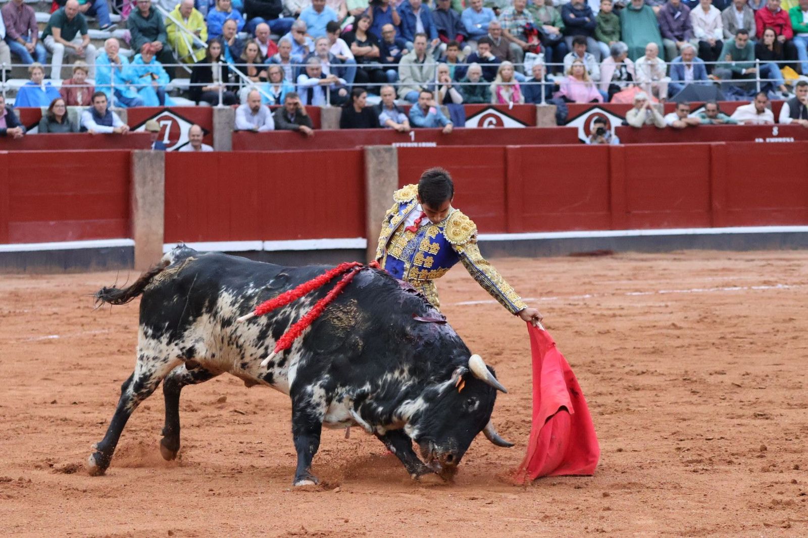 20230915185611-img-4236