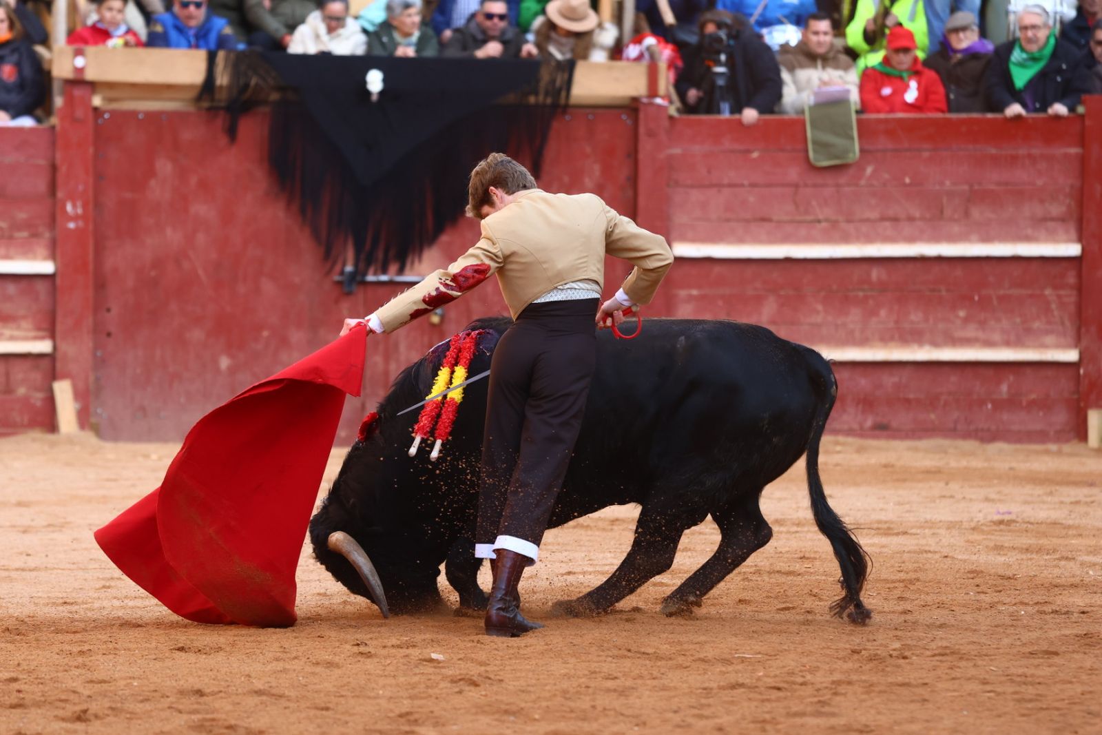 Festival del martes en el Carnaval del Toro 2026