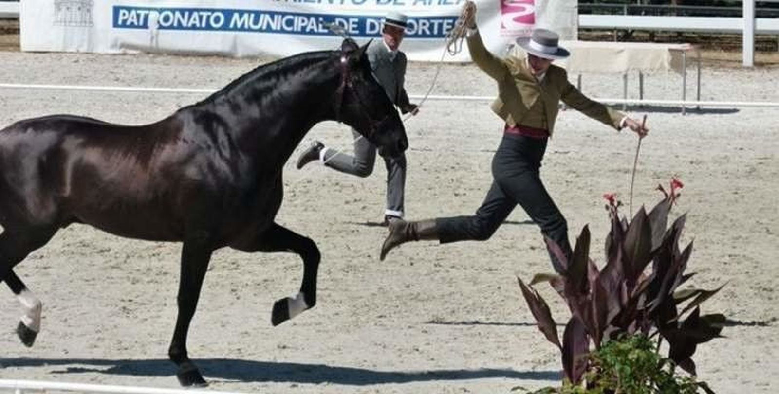 Convocada la decimoquinta edición del concurso de fotografía de la Feria del Caballo