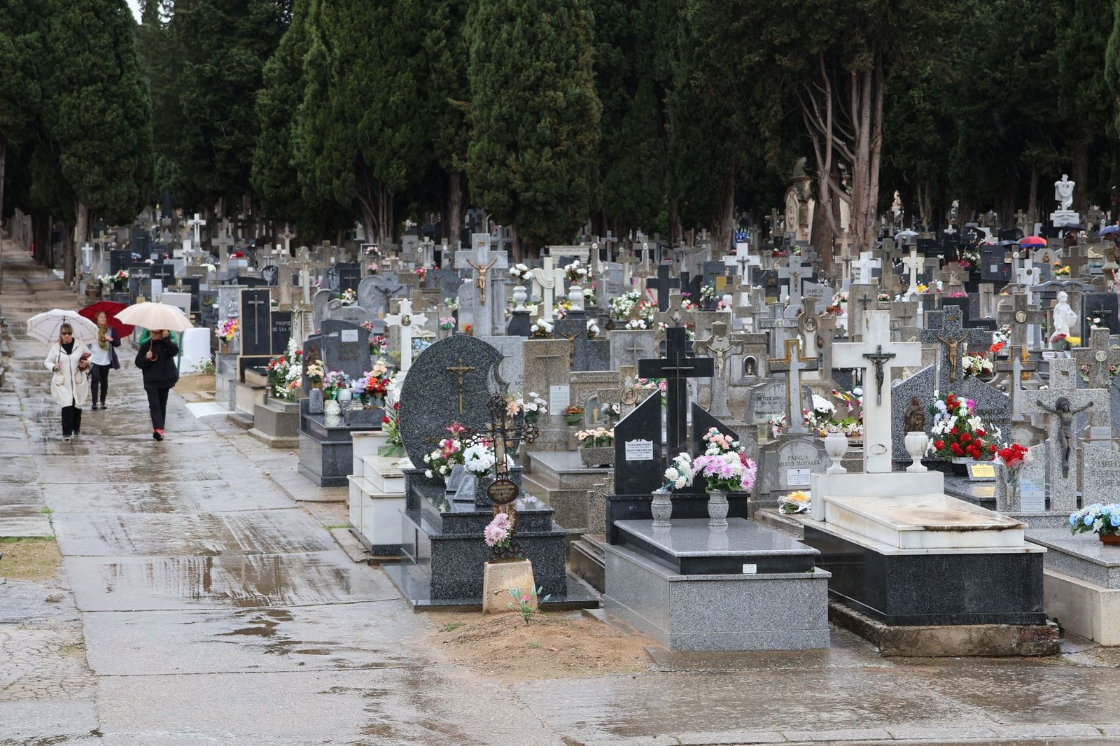 GALERÍA | La lluvia no detiene la tradición: los zamoranos acuden al cementerio para recordar a sus fallecidos