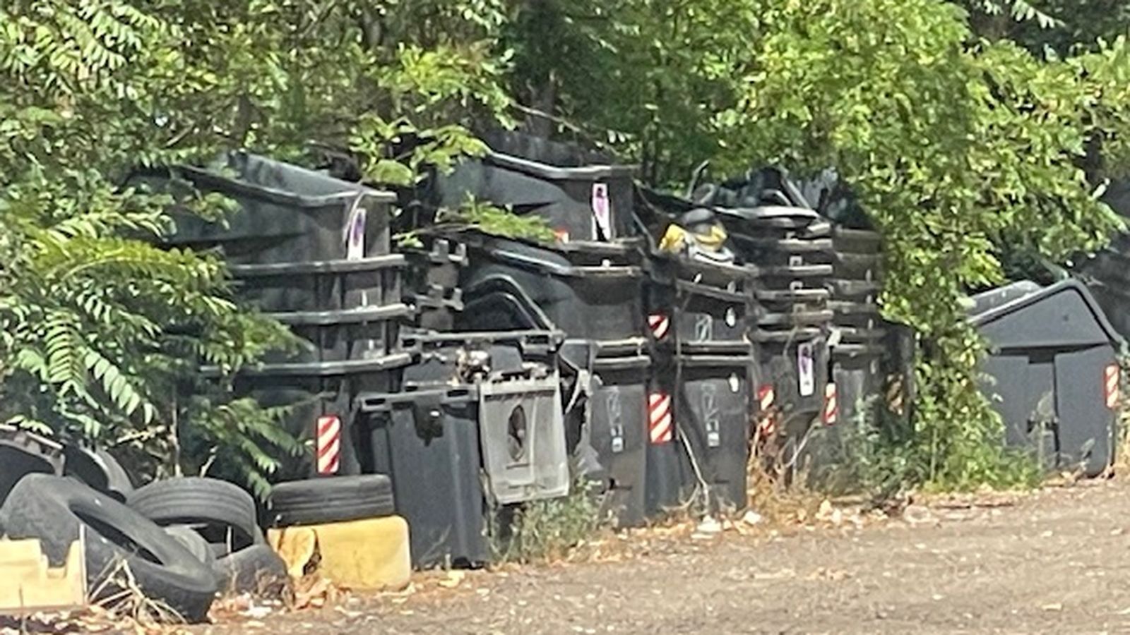 Residuos en el exterior de la estación de tren de Zamora