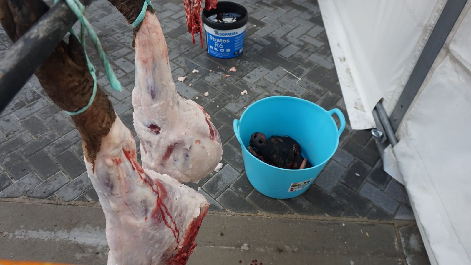 Castellanos de Moriscos celebra su matanza tradicional