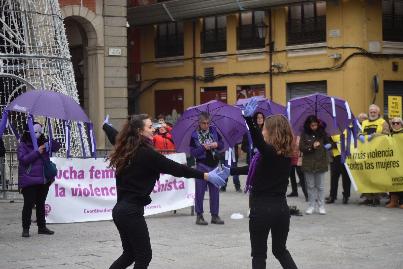 concentracion-25-n-en-zamora-39