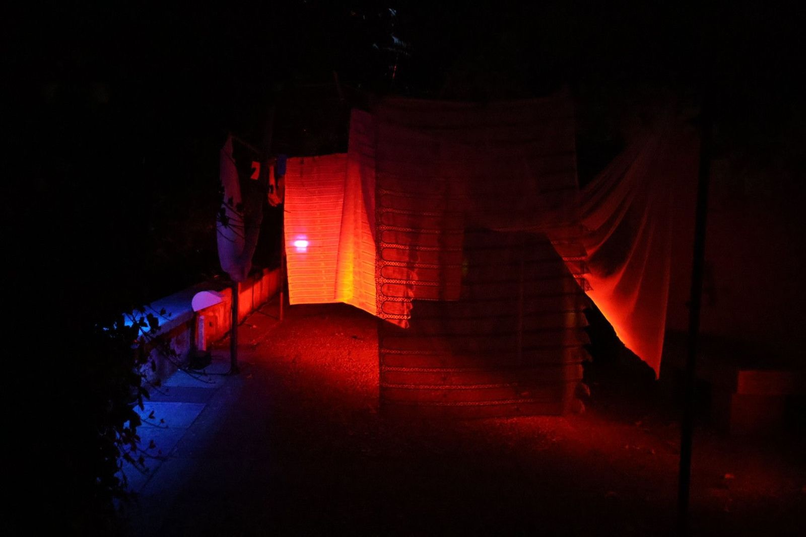 20240613213557-img-7538