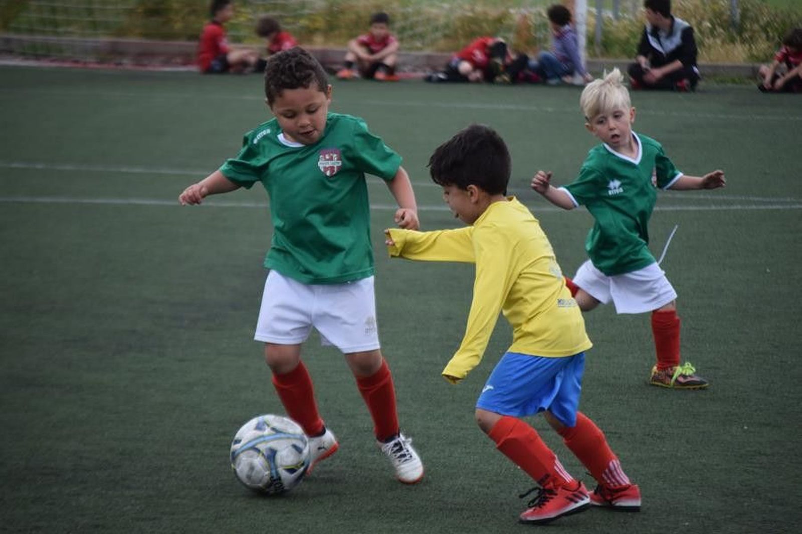 Memorial Elvira Fernández VI