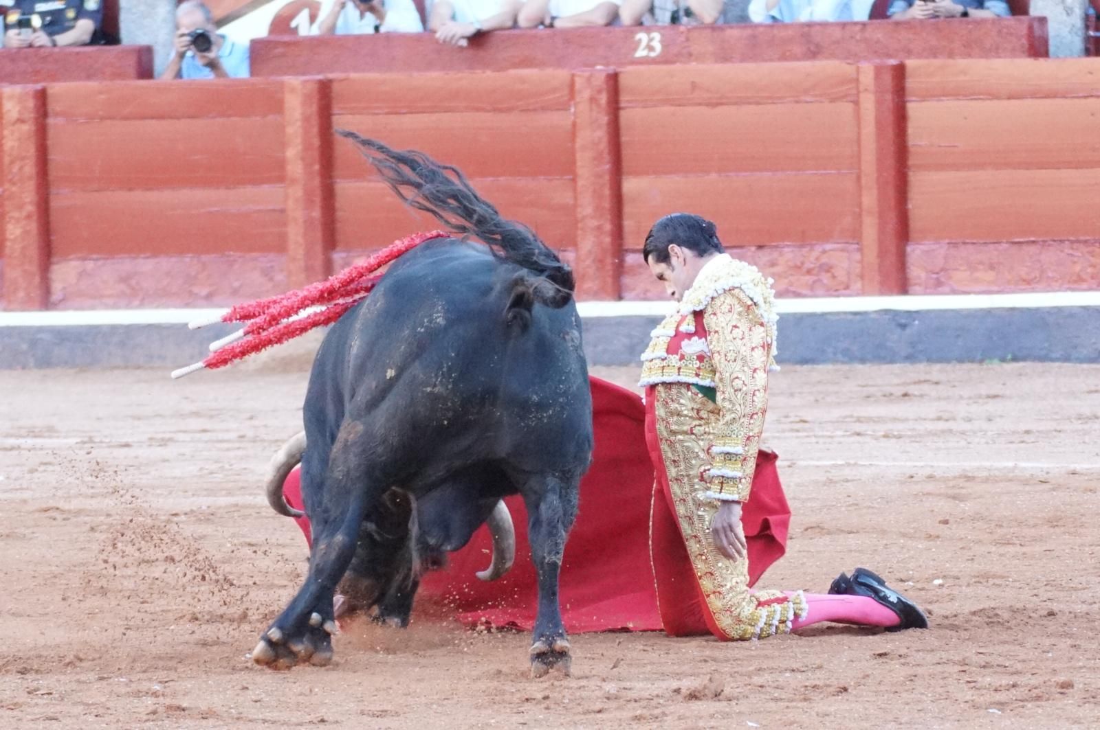 Emilio de Justo, Juan Ortega y Roca Rey inauguran el cartel de figuras en la feria de Salamanca: la corrida de Garcigrande en imágenes