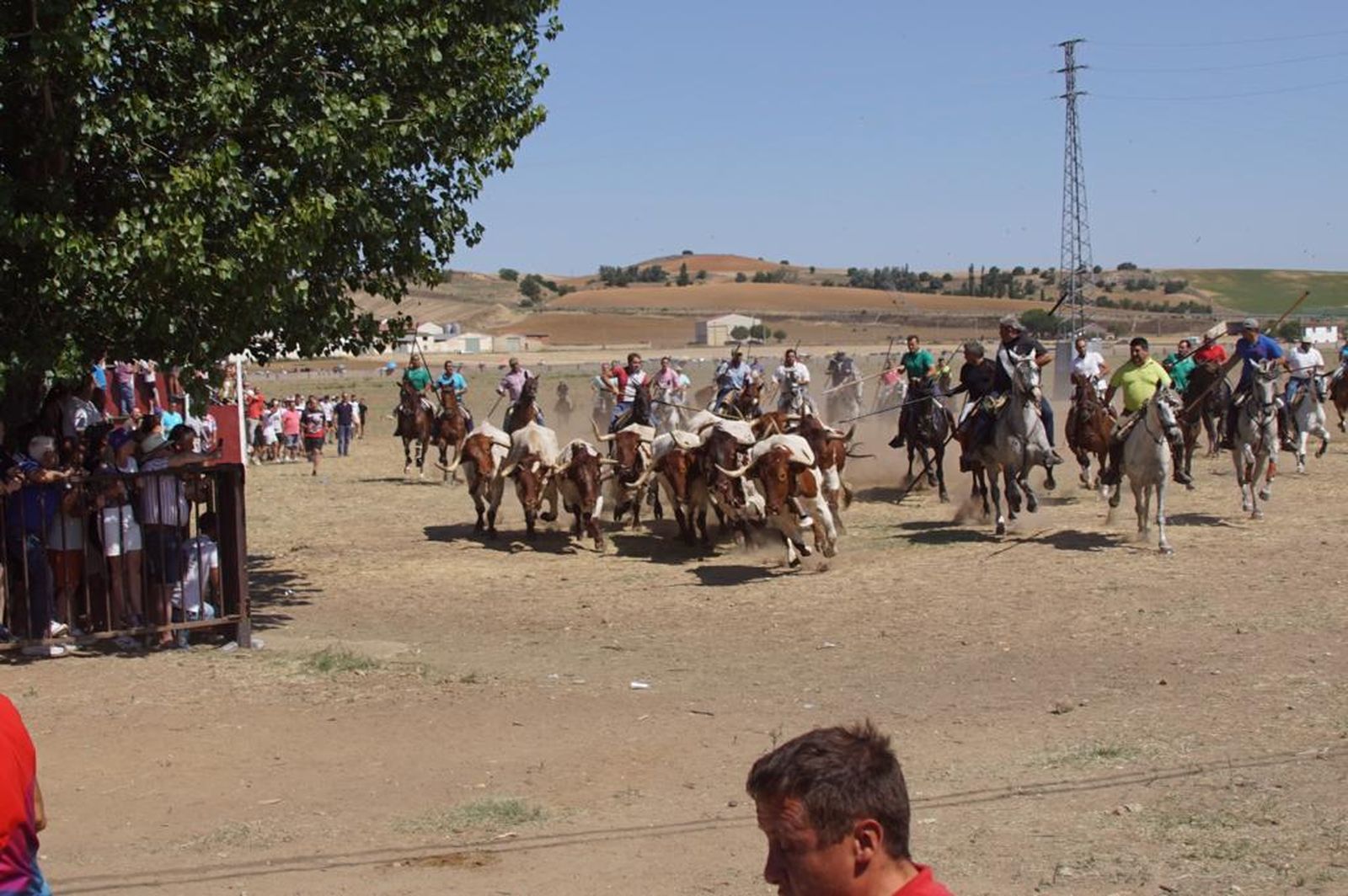 espantes-de-fuentesauco-56