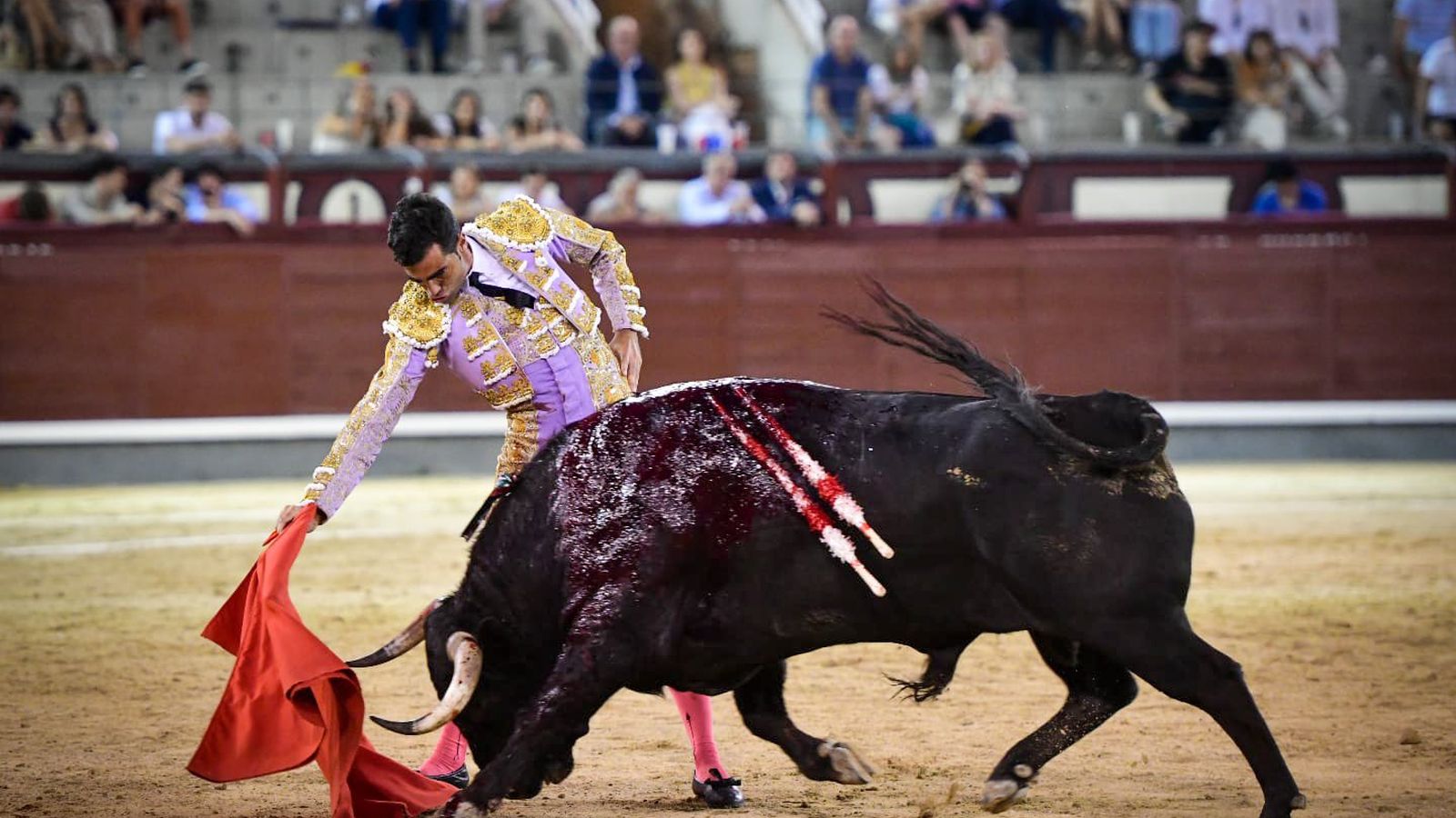 El novillero Pérez Pinto en Las Ventas con Correrías, el segundo novillo de su presentación El novillero Pérez Pinto en Las Ventas con Correrías, el segundo novillo de su presentación