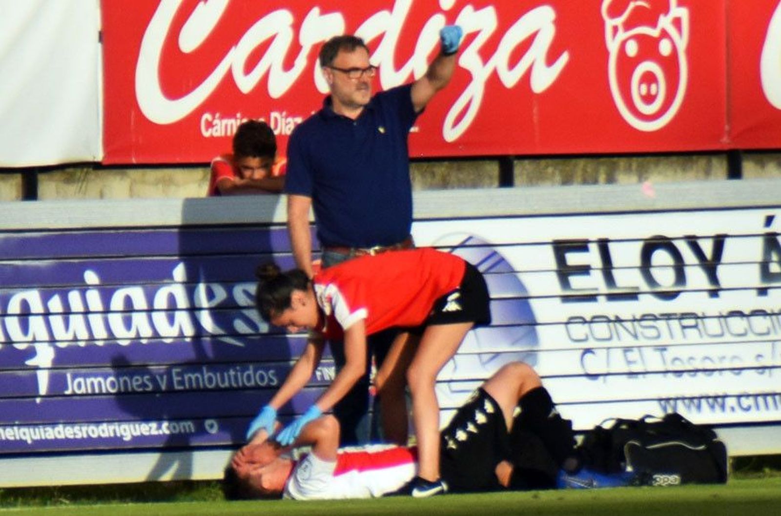 Perrini suelo lesionado