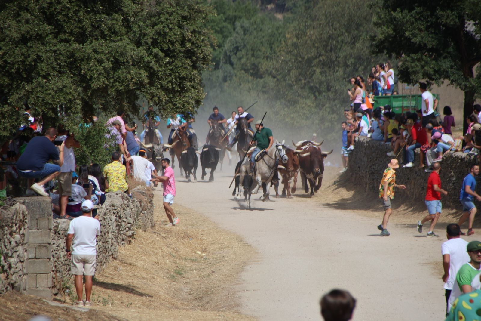 Lumbrales encierro a caballo, dia 2