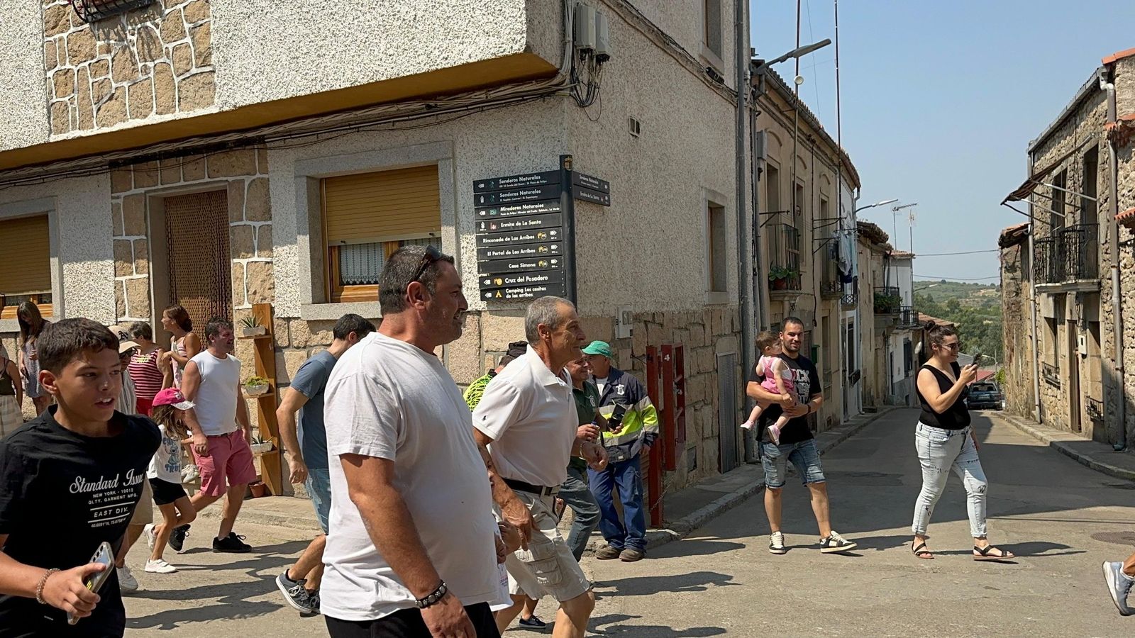 Mini bueyes en Aldeadávila