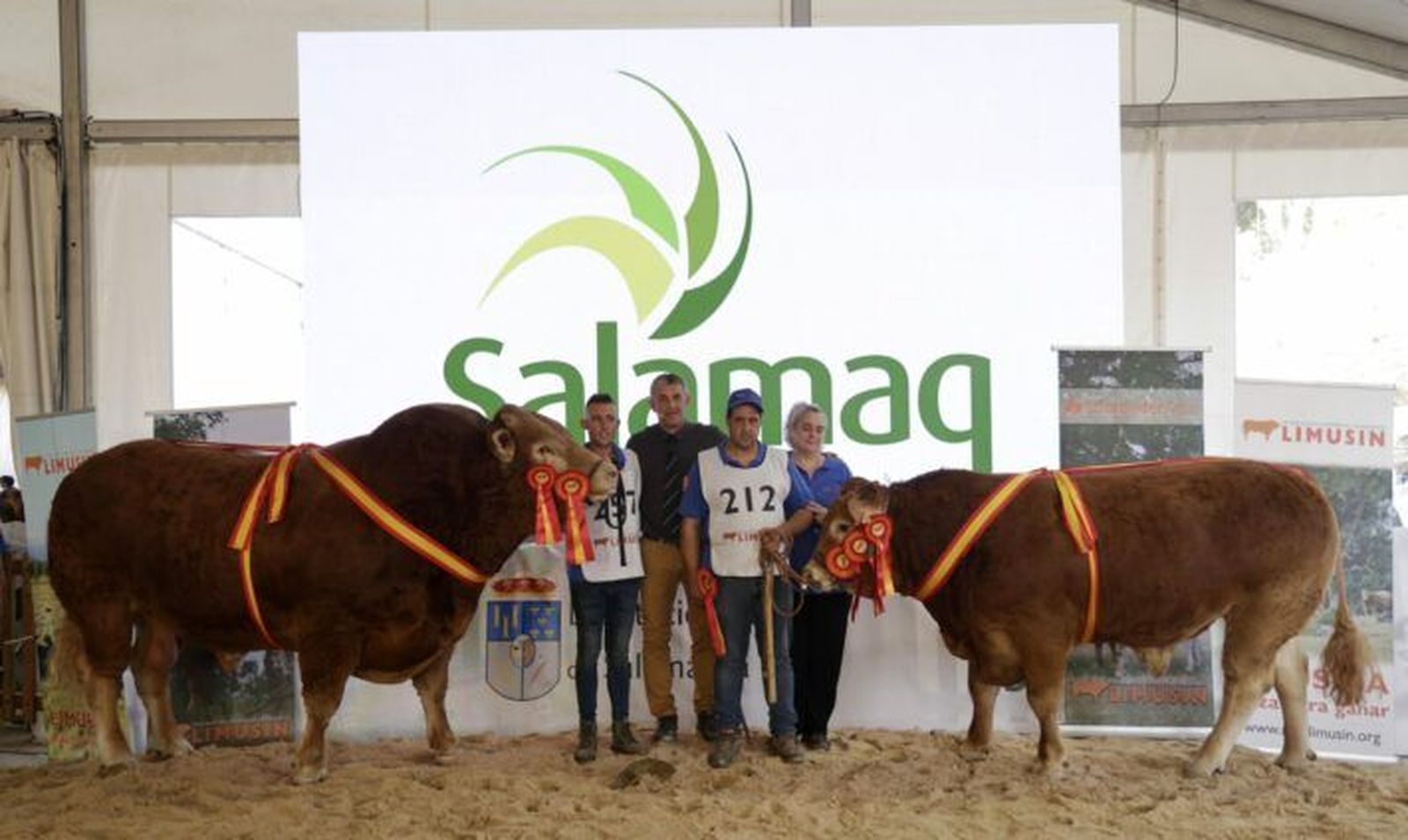Pocholo y Natacha, campeón y campeona del 32 Concurso Nacional de Raza Limusina