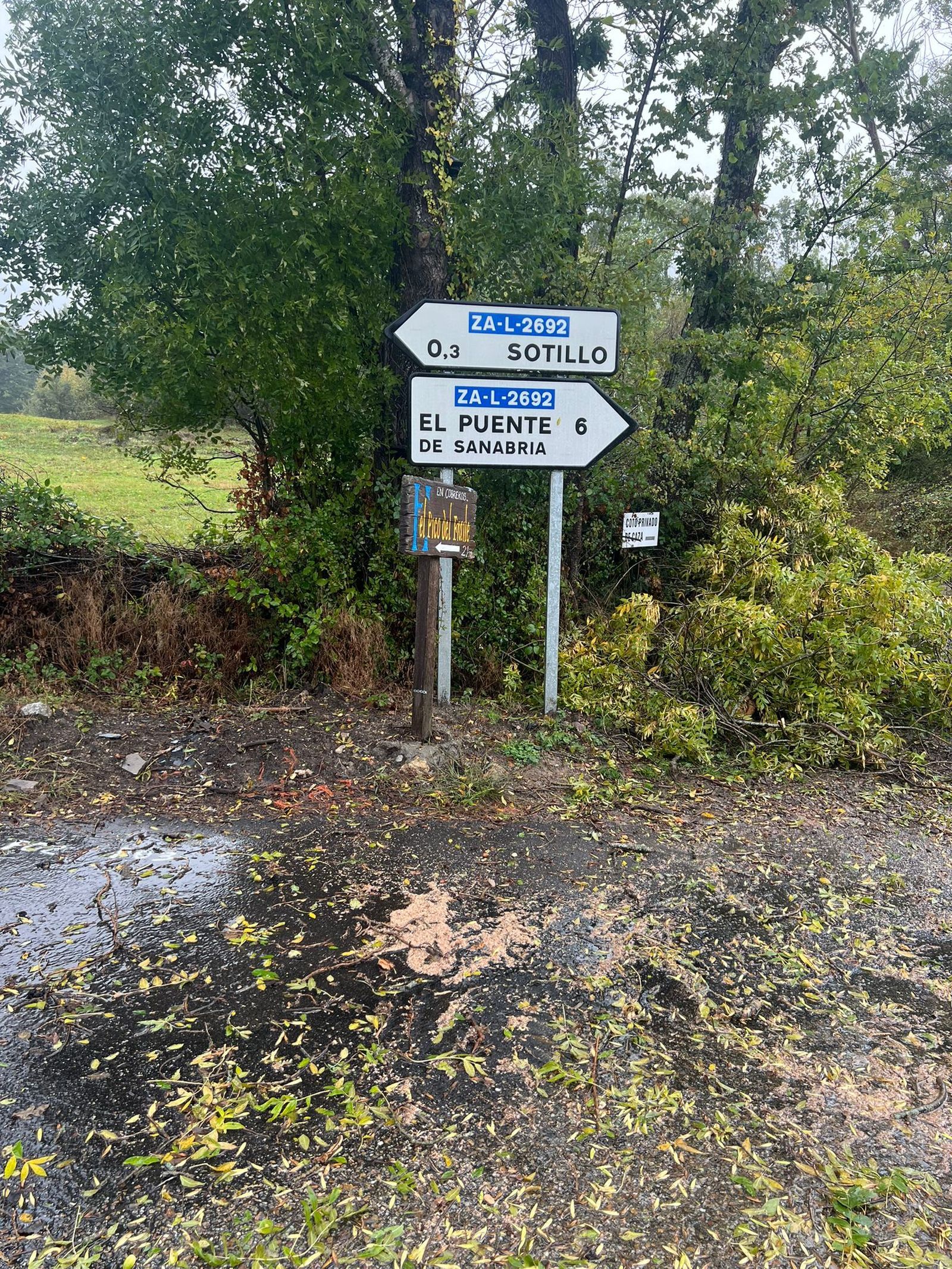 imagen-de-whatsapp-2024-10-09-a-las-11-48-56-5584b925