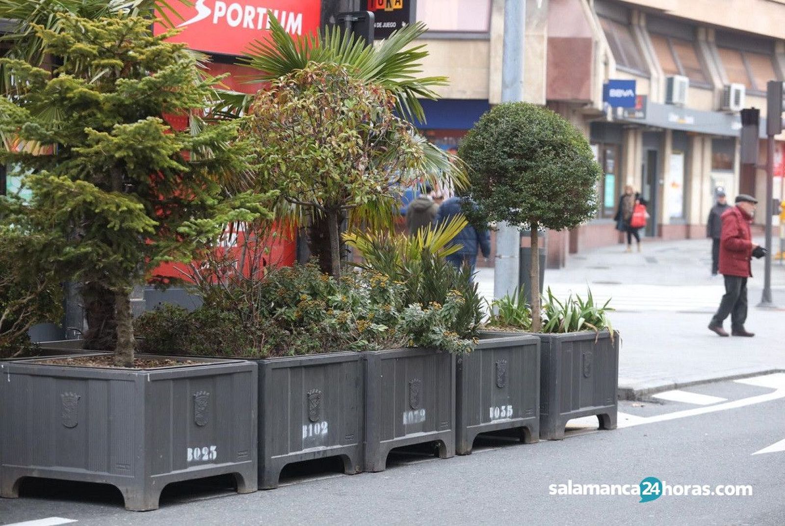 Maceteros y vallas para Cabalgata de Reyes 2020 (4)