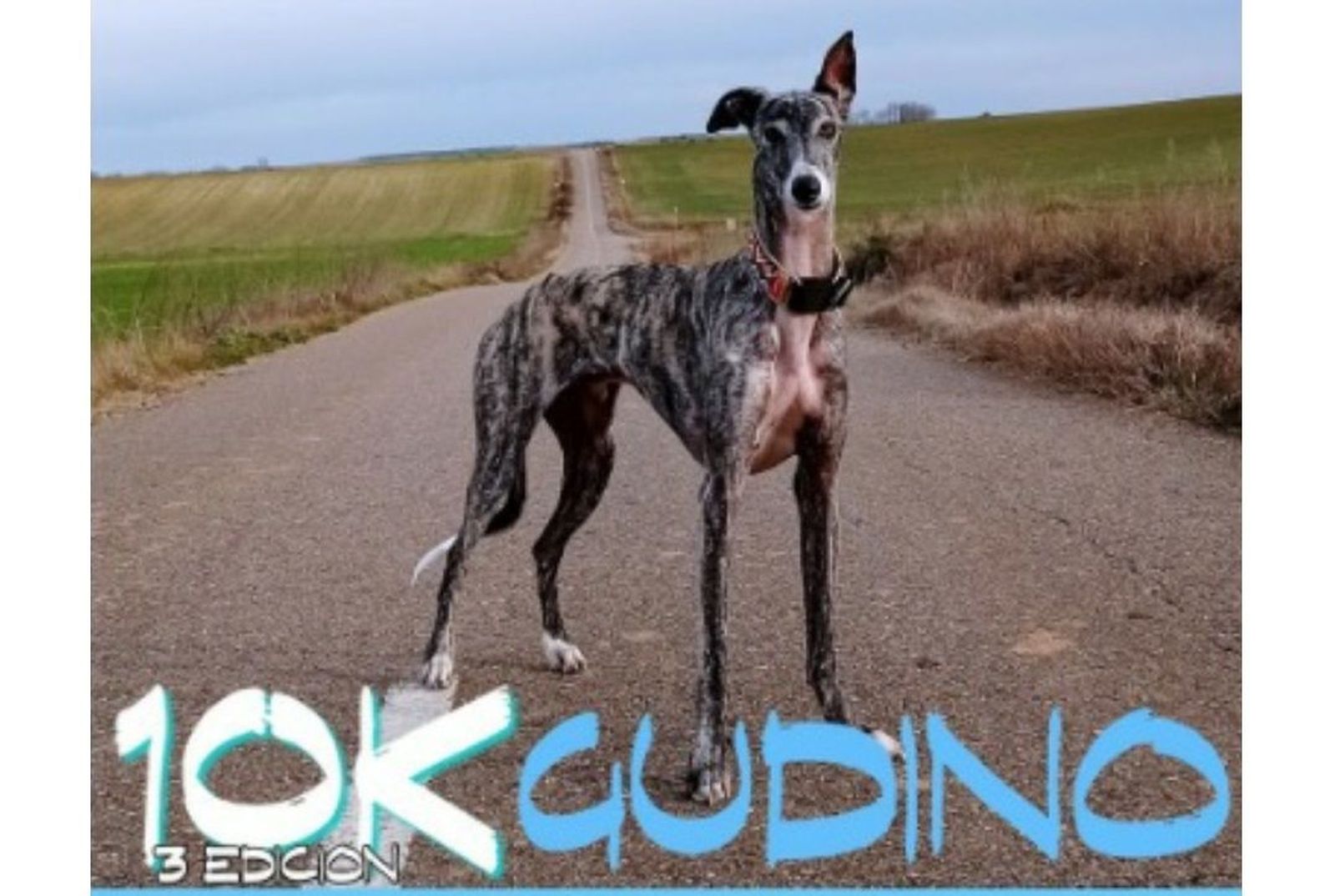 Cartel de la carrera '10km de Gudino'