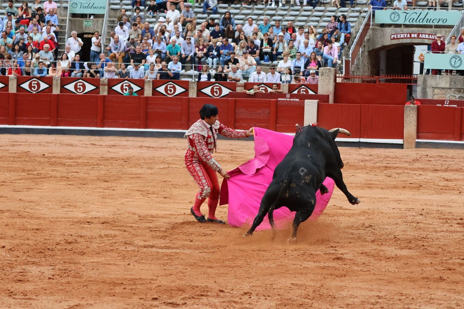 20230909181734-img-0644