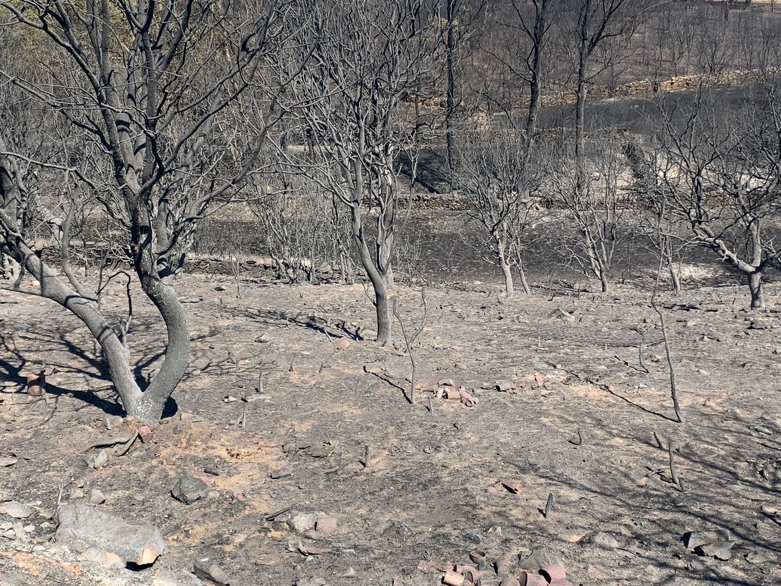 tras-el-horror-la-deslacion-en-zamora-foto-rafael-lorenzo-46