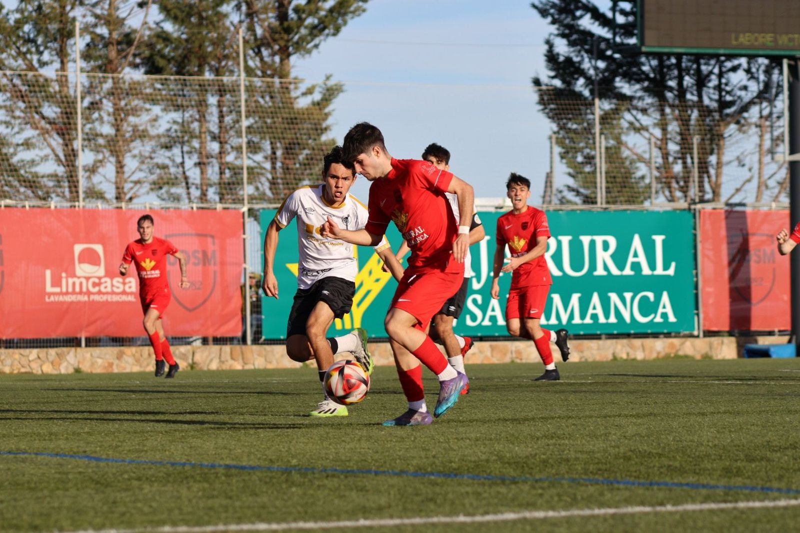 20240218173226-img-7244