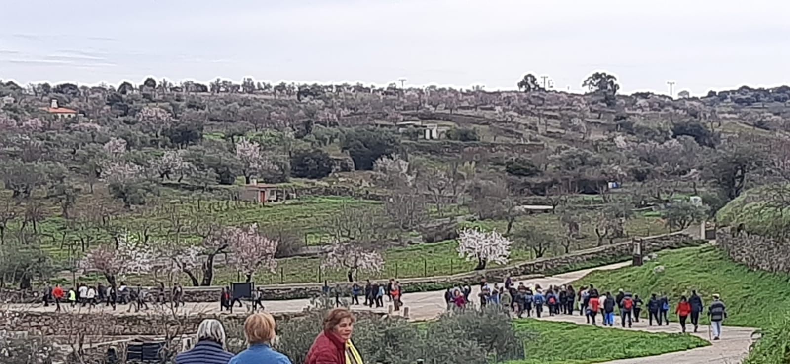 whatsapp-image-2025-02-15-at-11-10-37