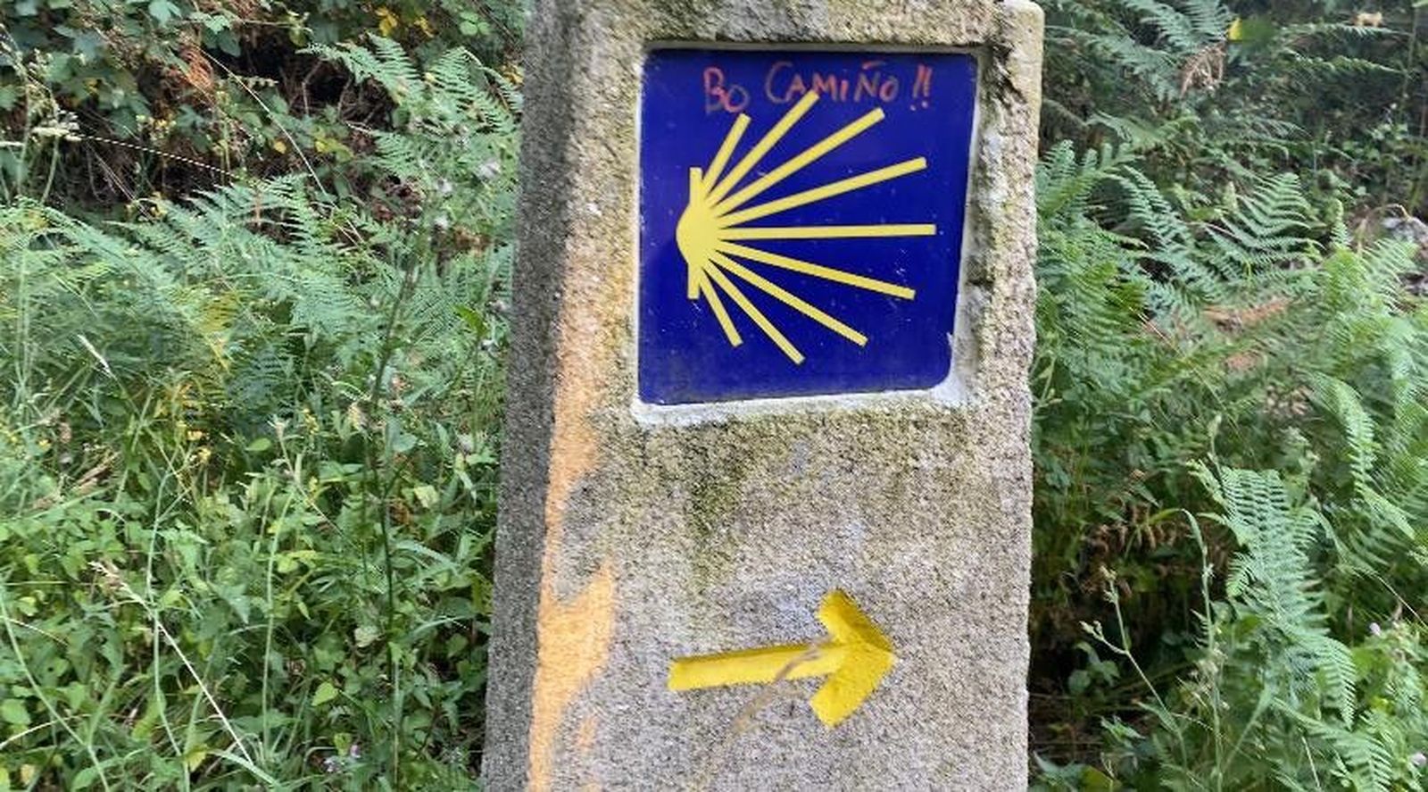 Camino santiago