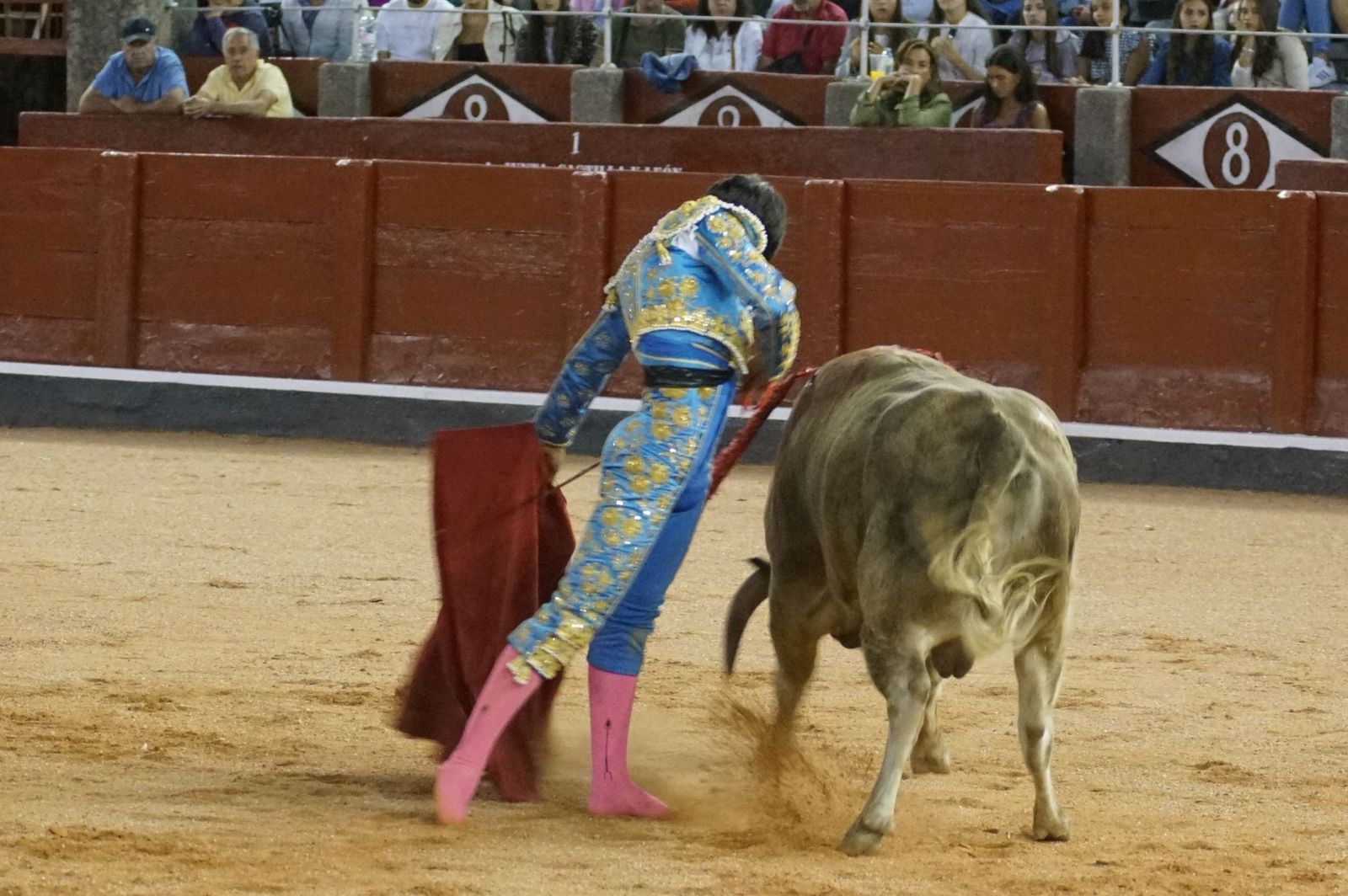 Clase práctica con alumnos de la Escuela de Tauromaquia de Salamanca (Diego Mateos, Noel García y Álvaro Rojo con erales de Esteban Isidro)