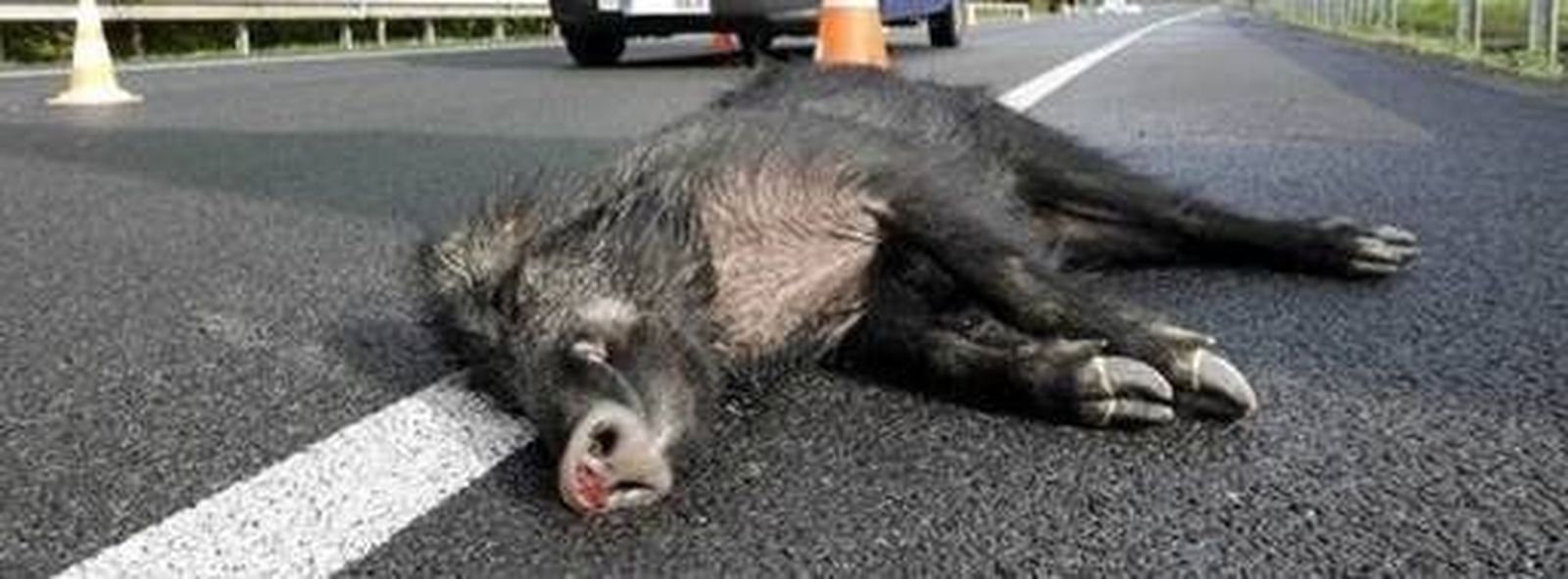 Fotonoticia 20191227125532 1920