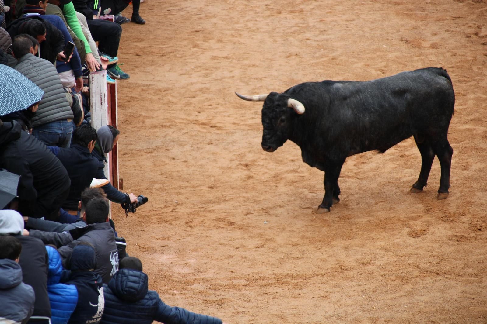 whatsapp-image-2025-03-03-at-12-46-48