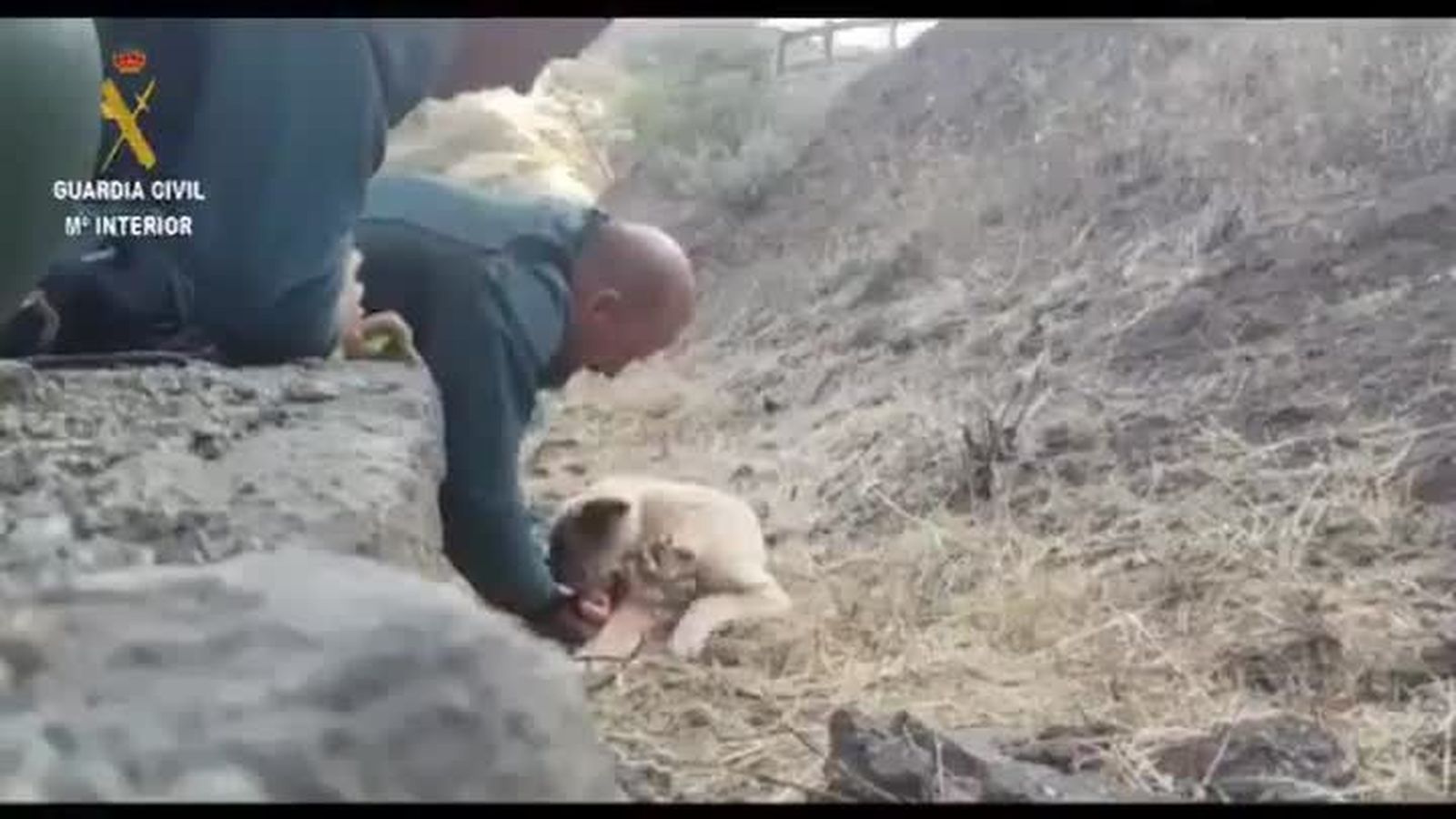 AsrescataronaunperromiembrosdelaGuardiaCivilespaoladuranteelincendioforest