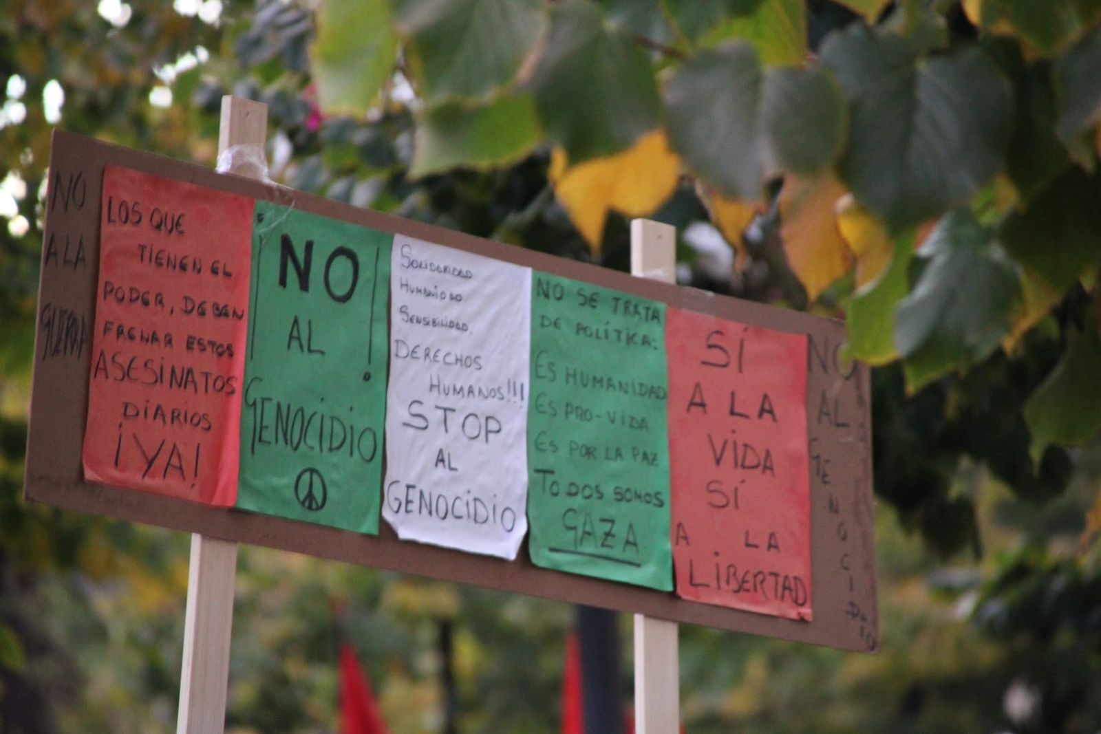Medio millar de personas se manifiestan en Salamanca en apoyo a Palestina y la flotilla