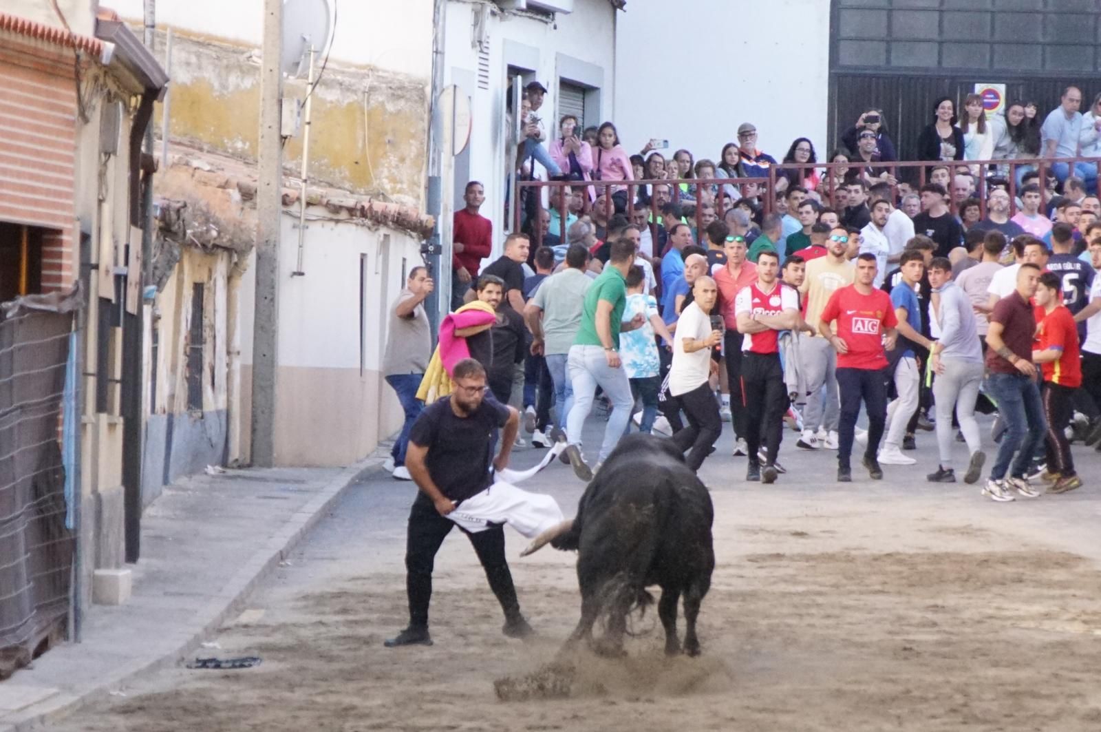 Toro del cajón y capea en Alba de Tormes