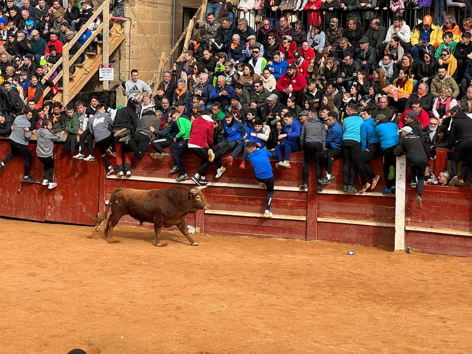 Sombreto, astado más bravo de El Pilar. Foto S24H
