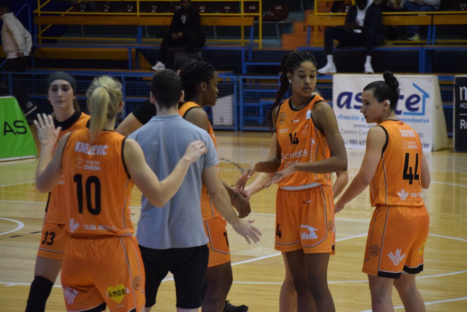 cd-zamarat-picken-claret-60