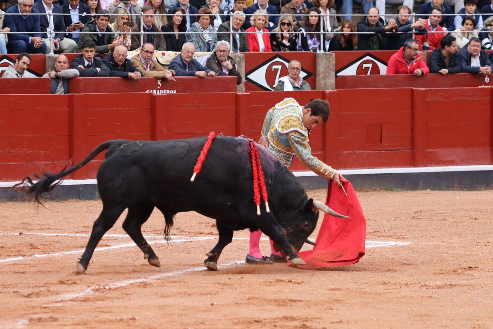 20230921171922-img-7858