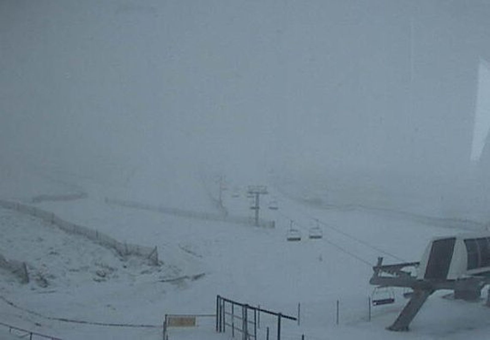 El regajo de las mulas