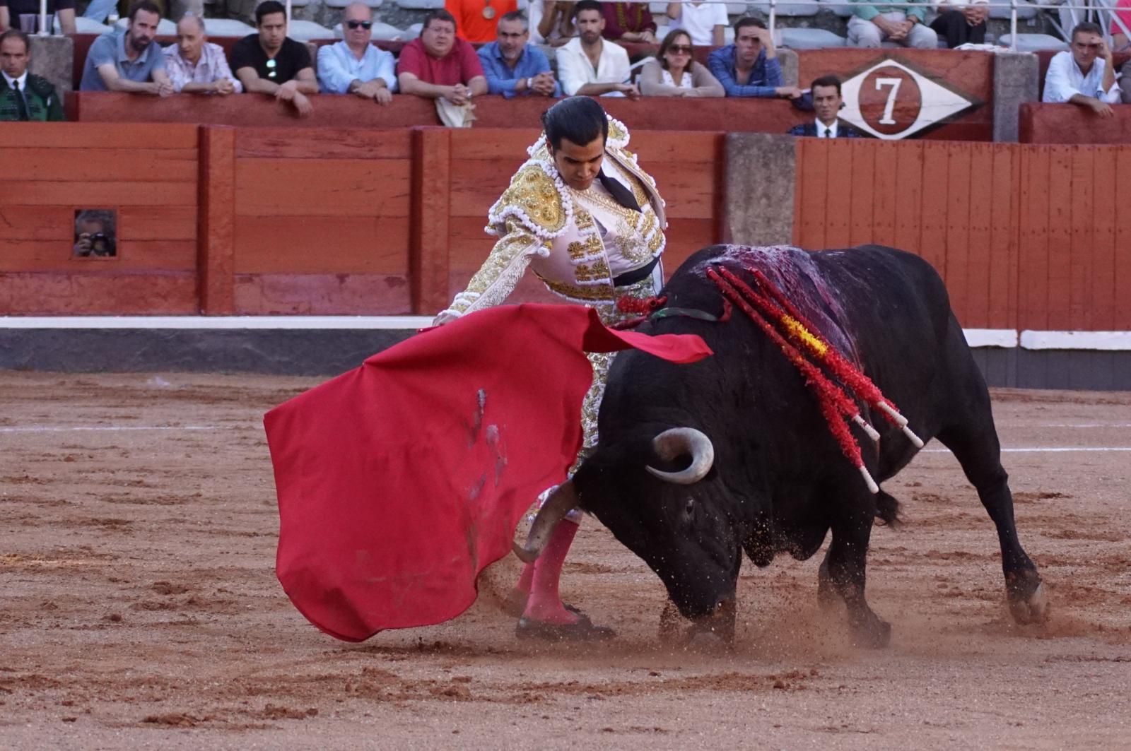 Presencia salmantina por partida doble en la primera corrida de la feria: Damián Castaño e Ismael Martín junto al mexicano Diego San Román