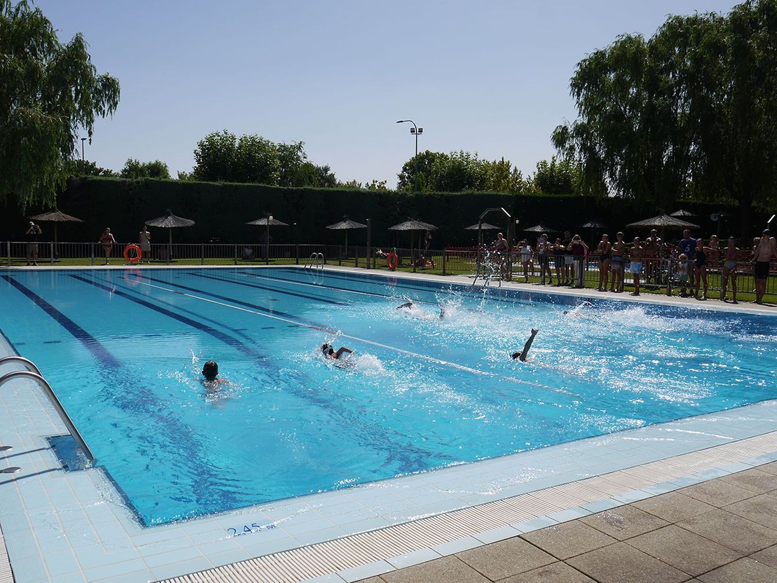 trofeo-natacion-fiestas-san-roque-carbajosa-4