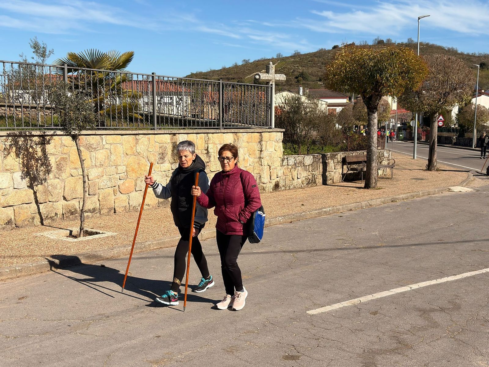 whatsapp-image-2025-03-30-at-11-25-37-5