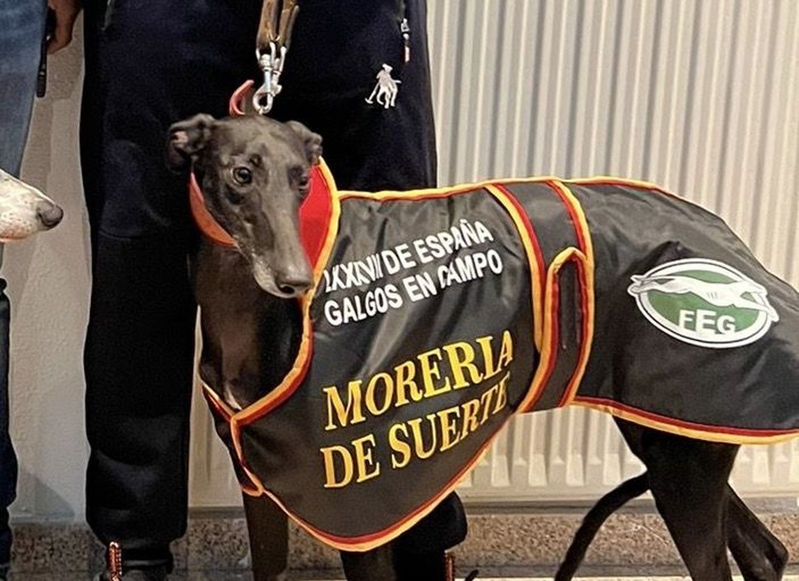 Morería de Suerte Morería de Suerte