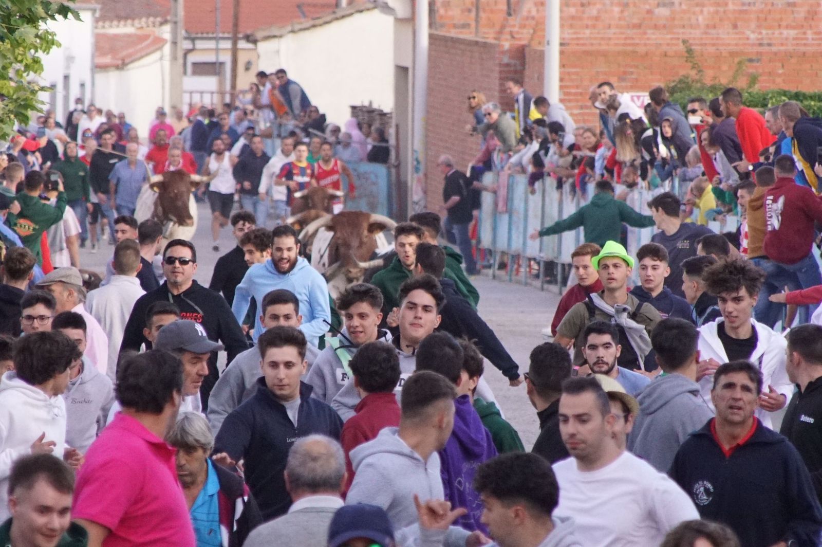 a3d17dd3-e514-4034-beed-754b472131cd