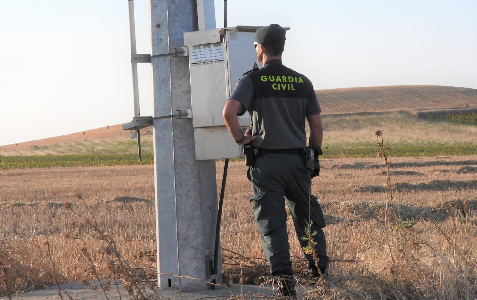 Componentes del SEPRONA comprobando las líneas de tensión en búsqueda de aves afectadas.