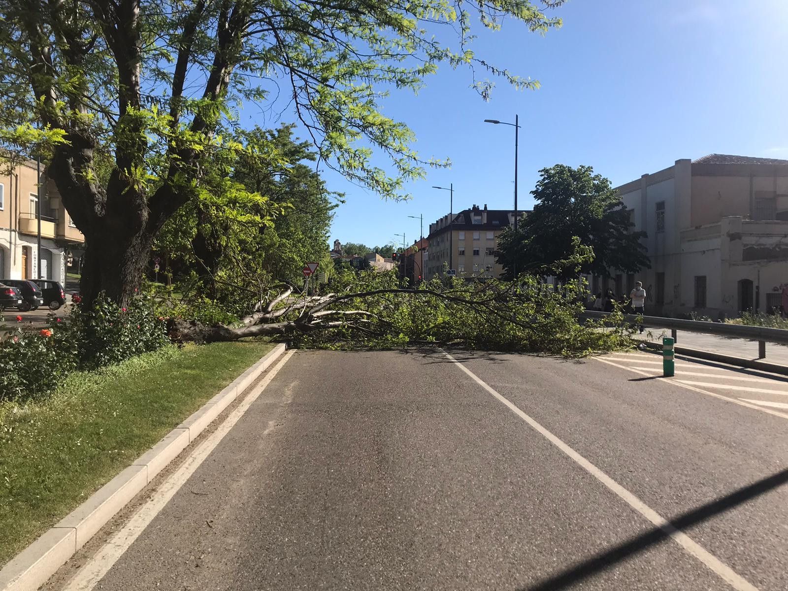 WhatsApp Image 2020 05 18 at 18.57.41