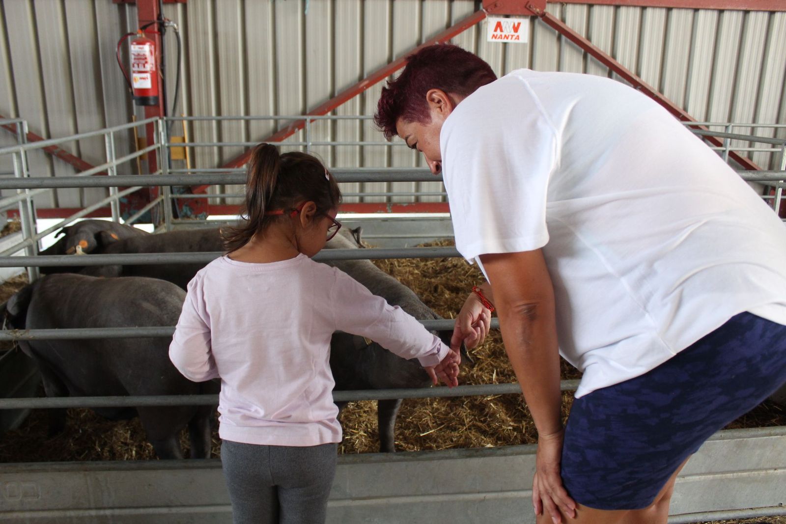 20230904142258-img-7563