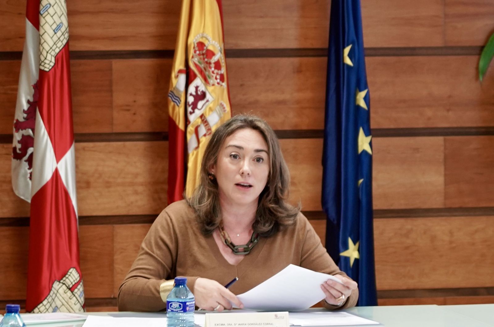 Eduardo Margareto / ICAL. La consejera de Agricultura, Ganadería y Desarrollo Rural, María González Corral, preside la reunión del Consejo Agrario de Castilla y León