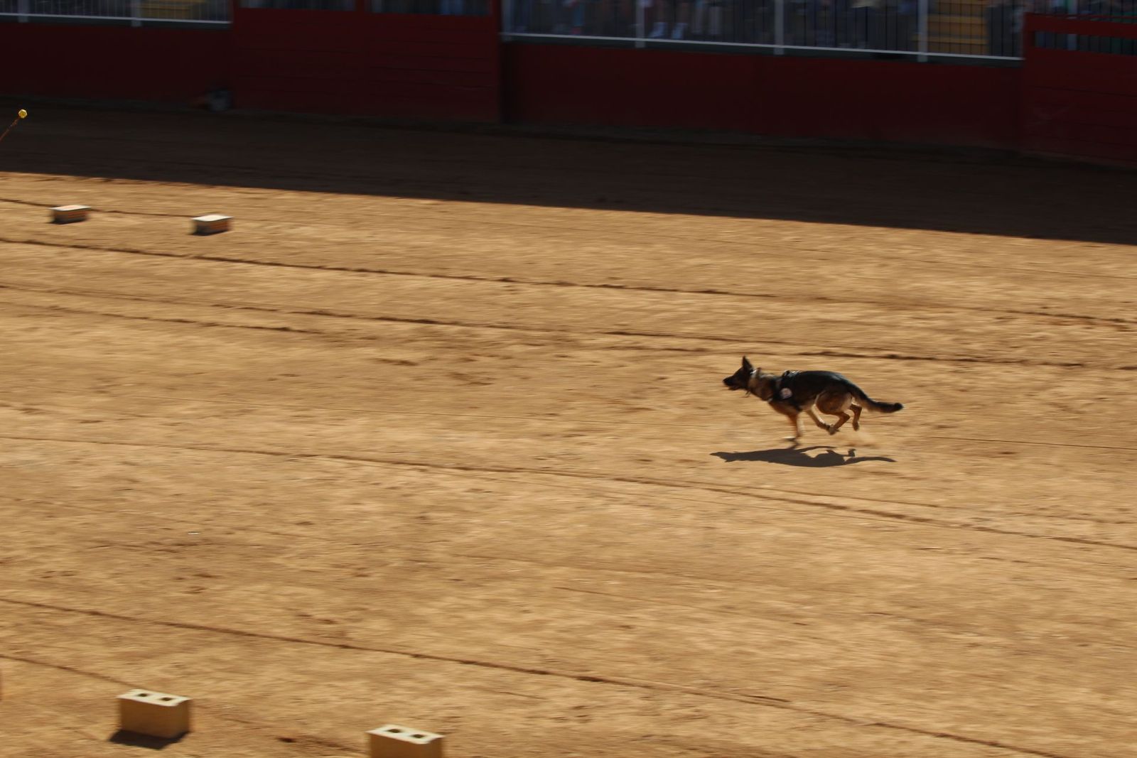 20230905122921-img-7966