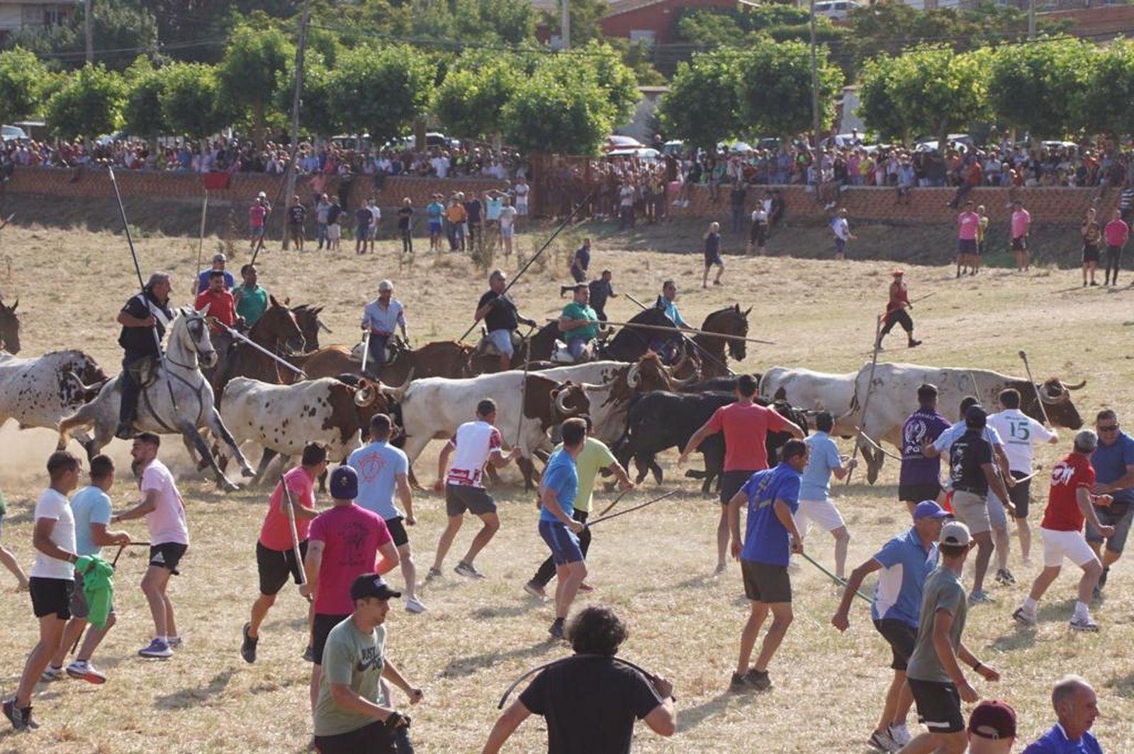 espantes-de-fuentesauco-14
